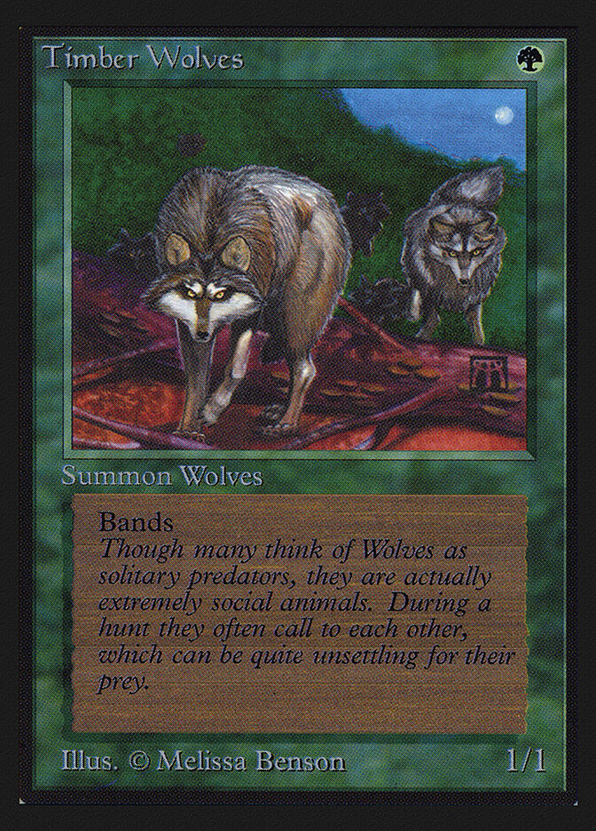 Timber Wolves card front