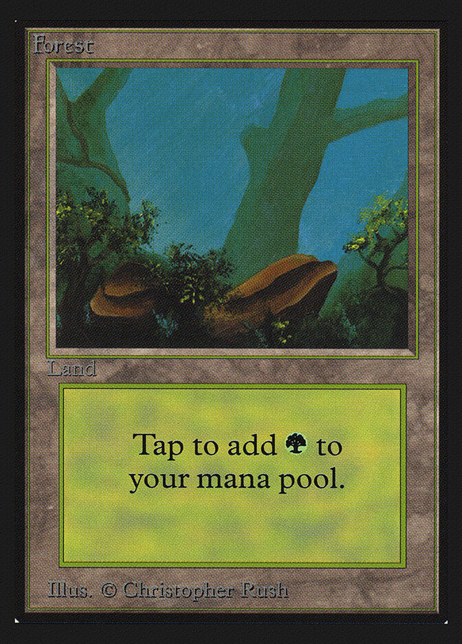 Forest card front