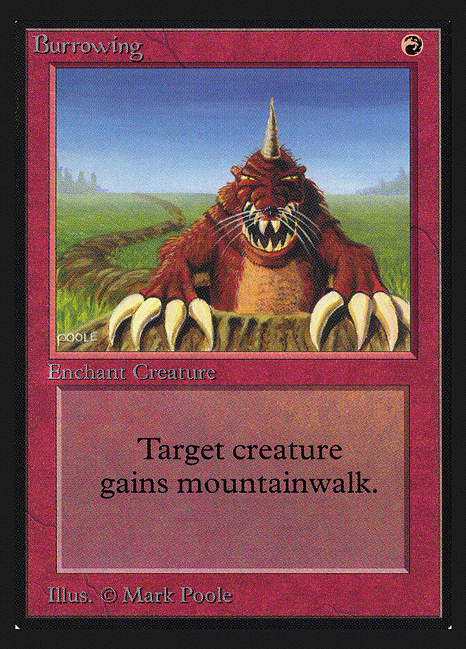Burrowing card front