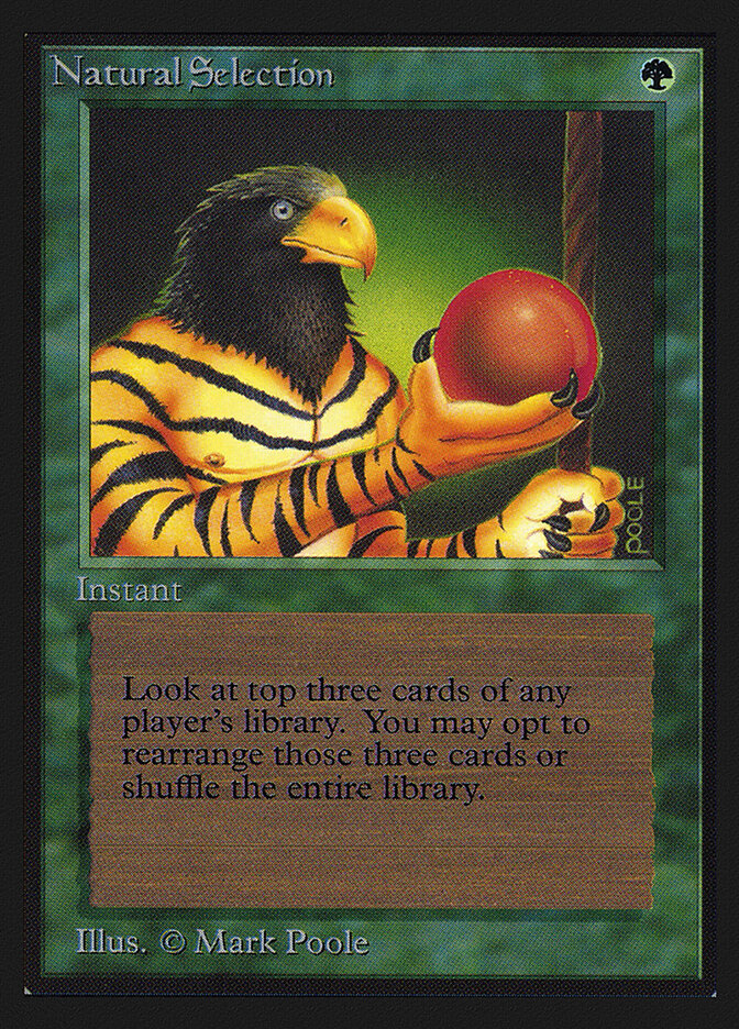 Natural Selection card front