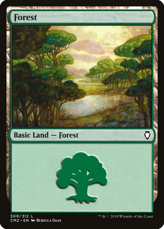 Forest card front