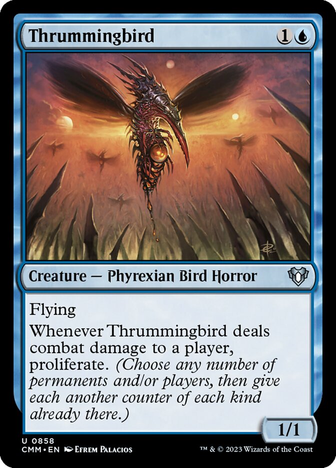 Thrummingbird card front