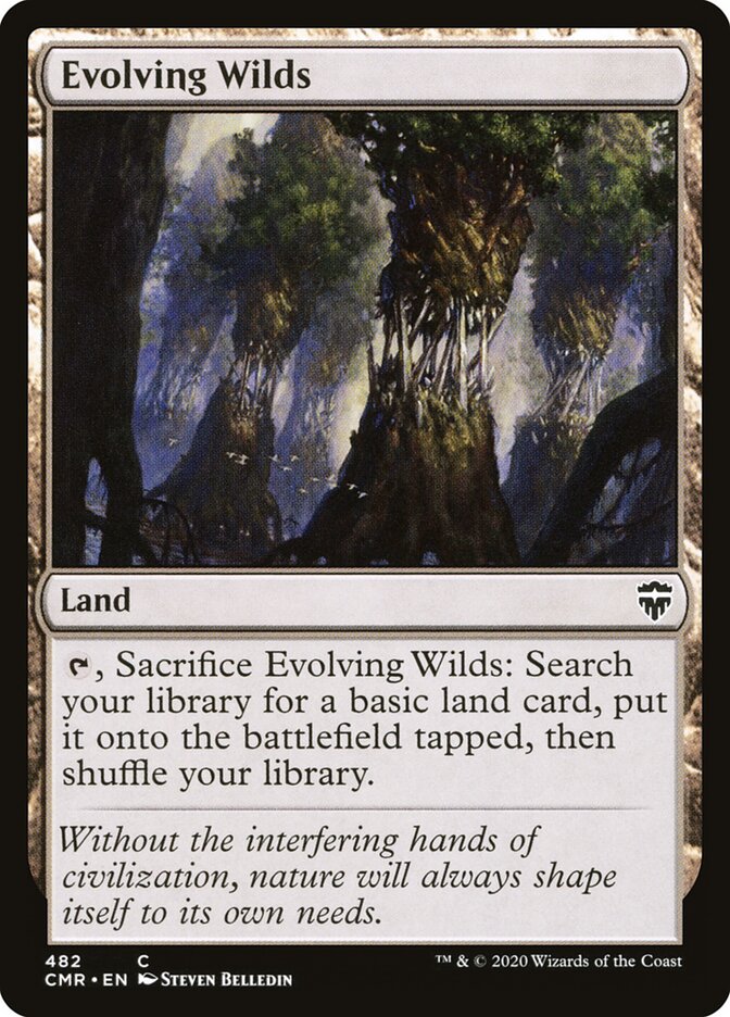 Evolving Wilds card front