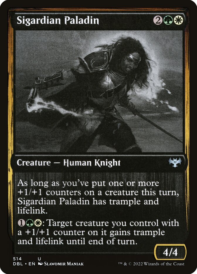 Sigardian Paladin card front