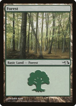 Forest