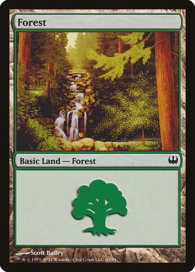 Forest card front