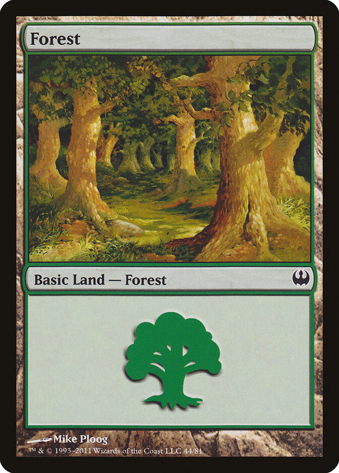 Forest card front