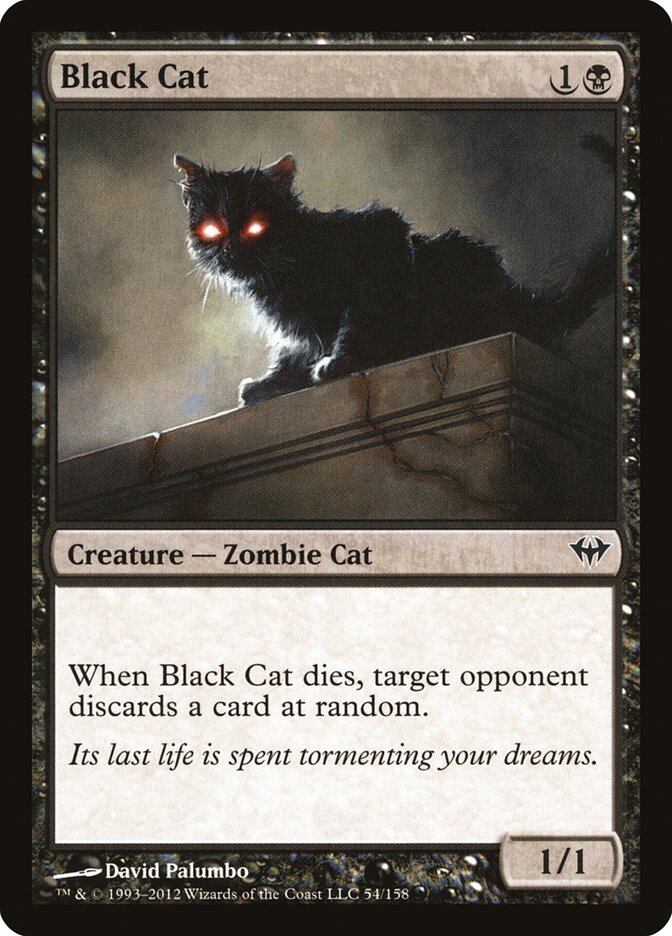 Black Cat card front
