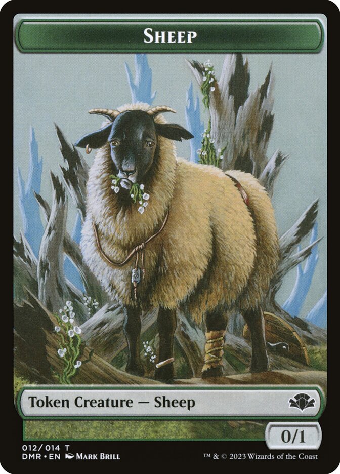 Sheep card front