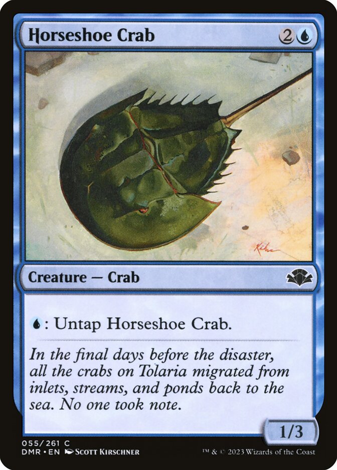 Horseshoe Crab card front