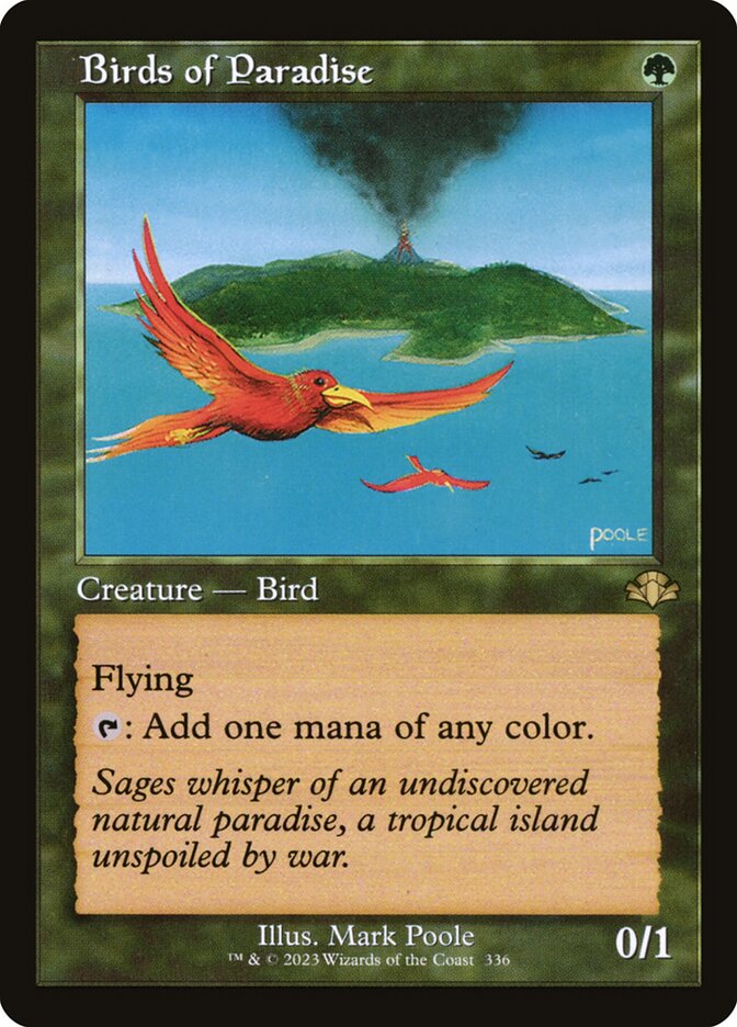 Birds of Paradise card front