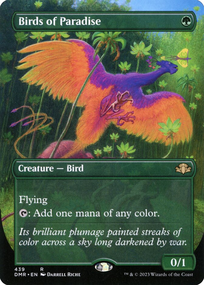 Birds of Paradise card front