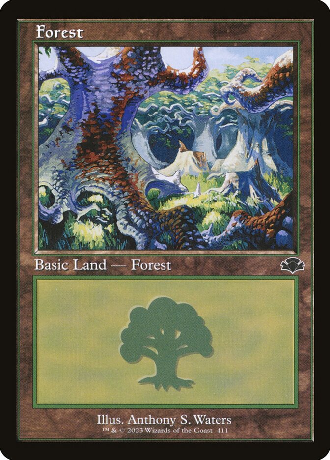 Forest card front