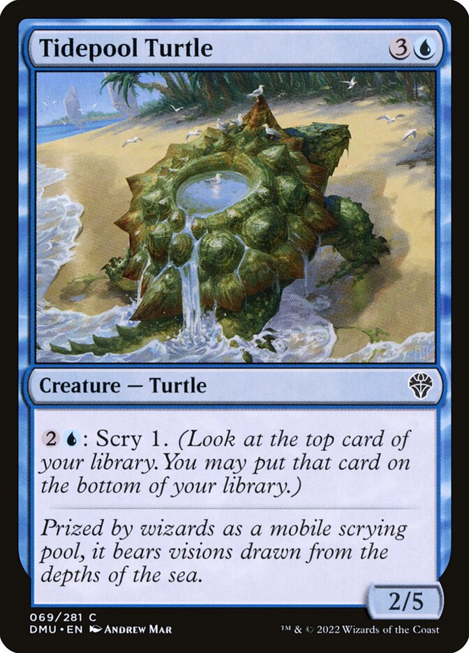 Tidepool Turtle card front