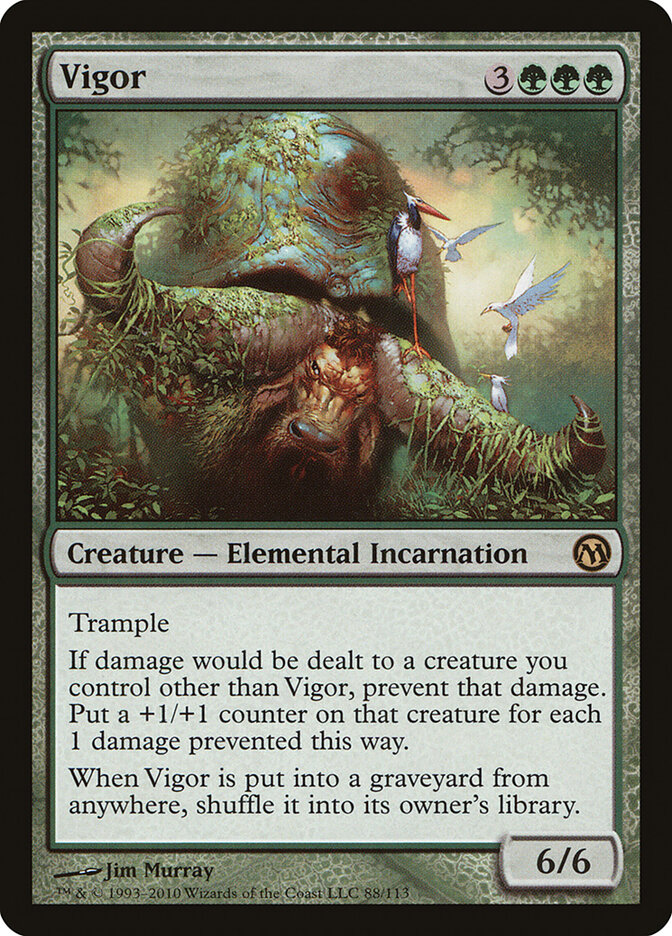 Vigor card front