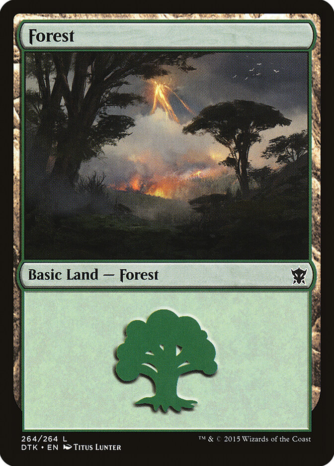 Forest card front