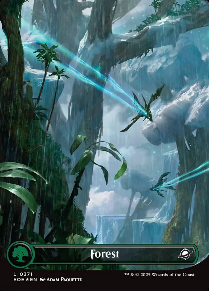 Forest card front