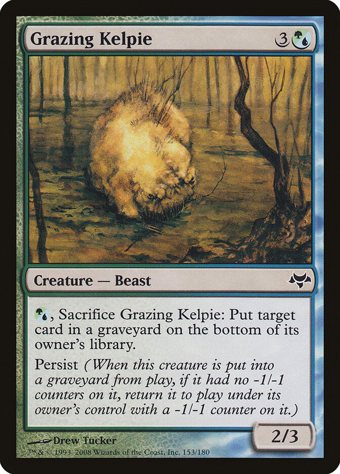 Grazing Kelpie card front