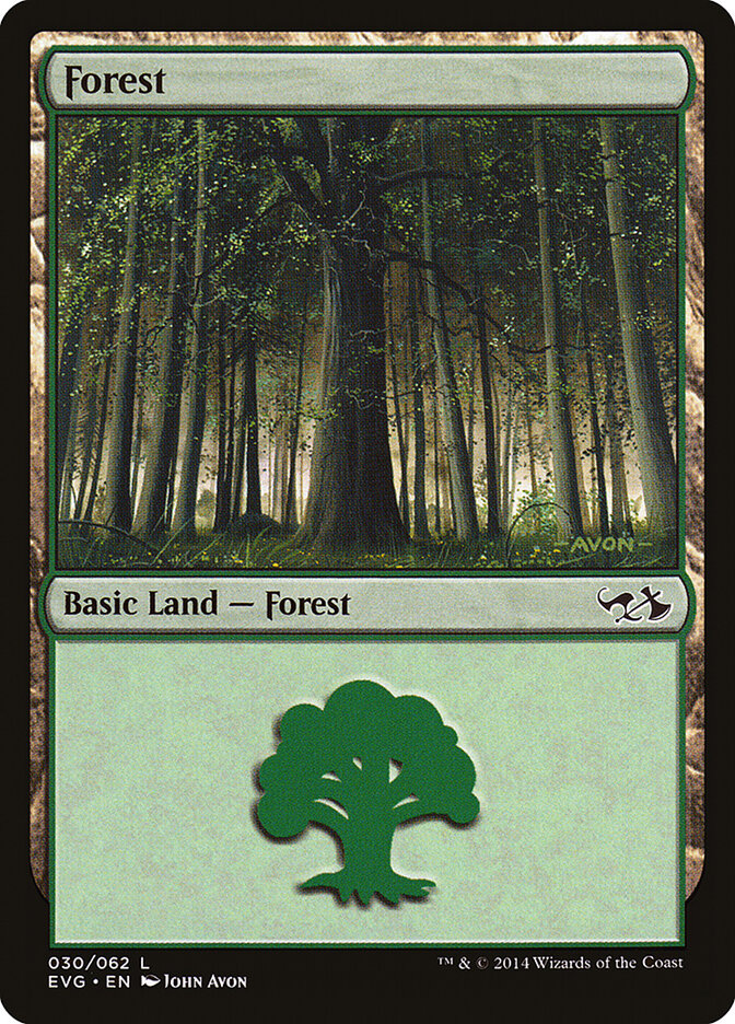 Forest card front
