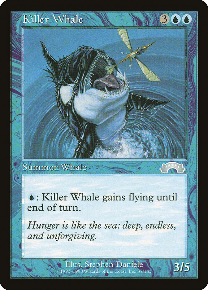 Killer Whale card front