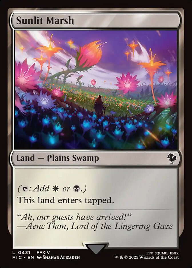 Sunlit Marsh card front