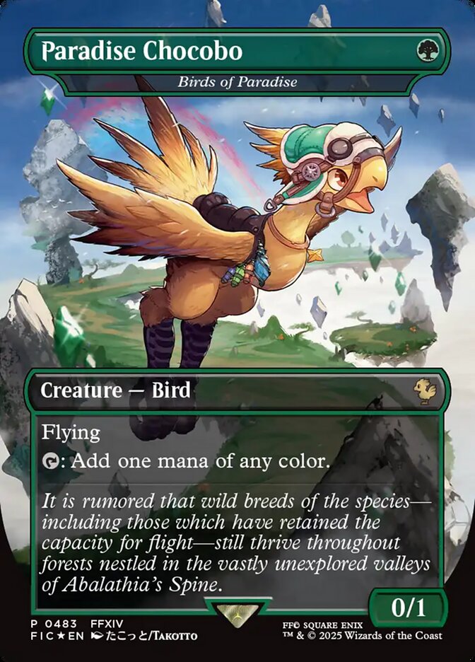 Birds of Paradise card front