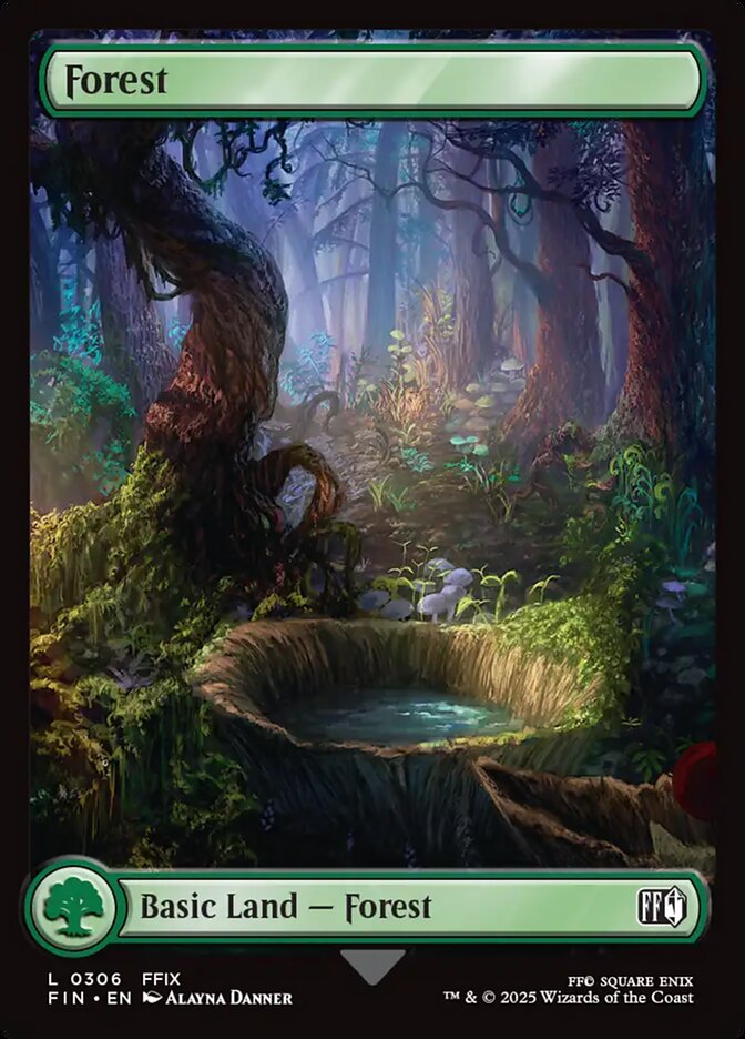 Forest card front