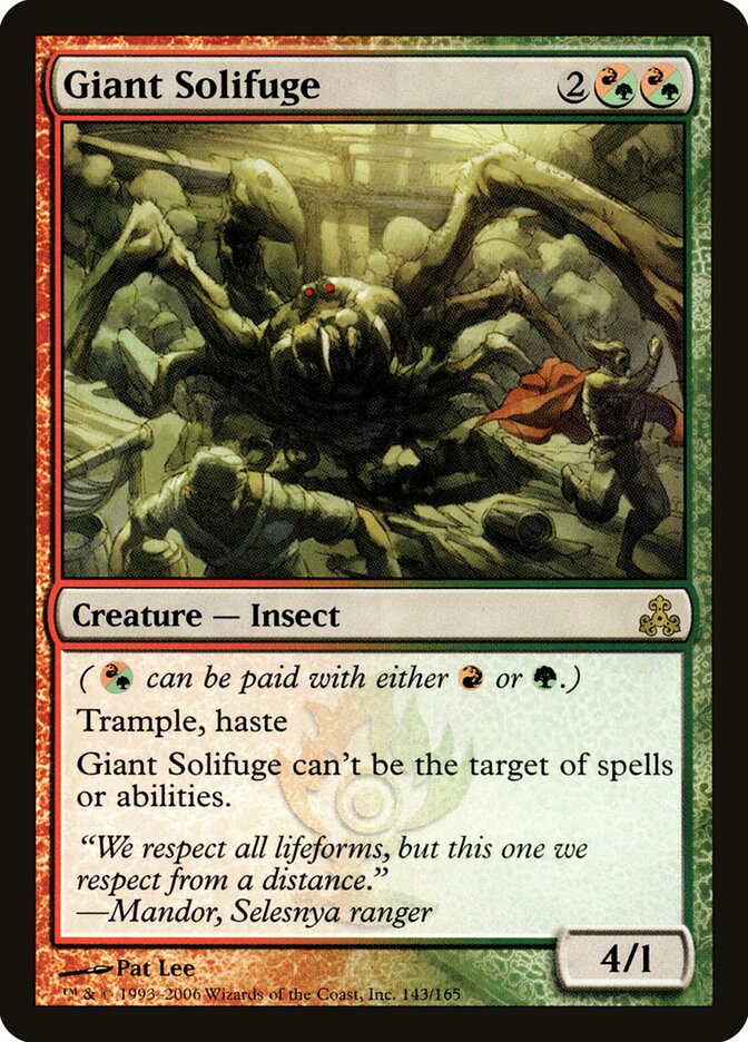 Giant Solifuge card front