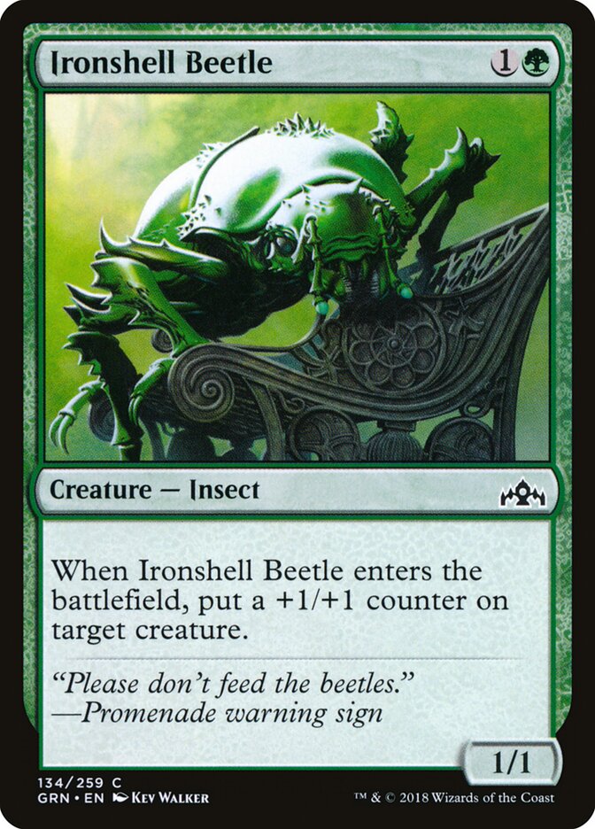 Ironshell Beetle card front