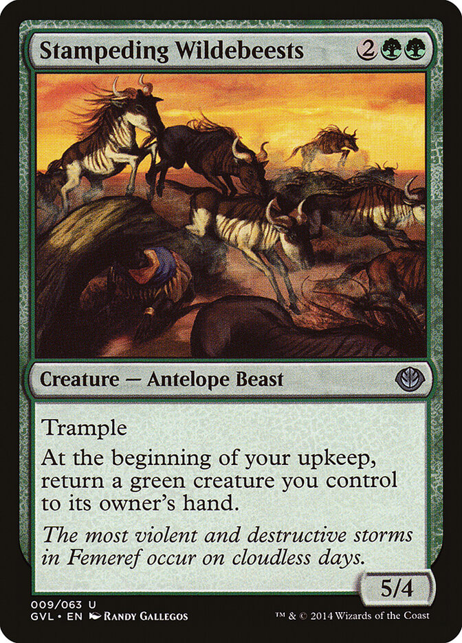 Stampeding Wildebeests card front
