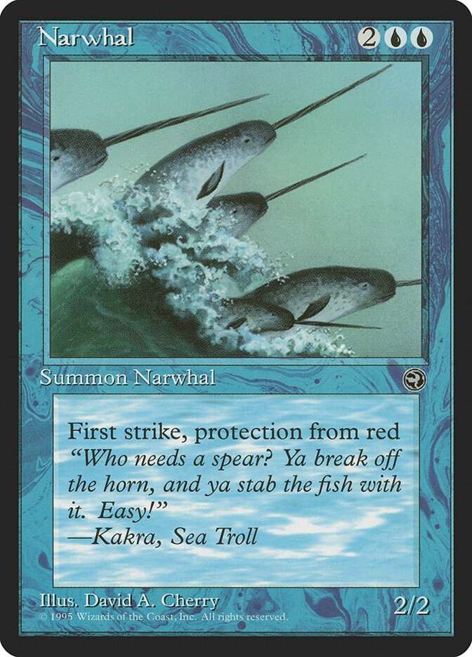 Narwhal card front