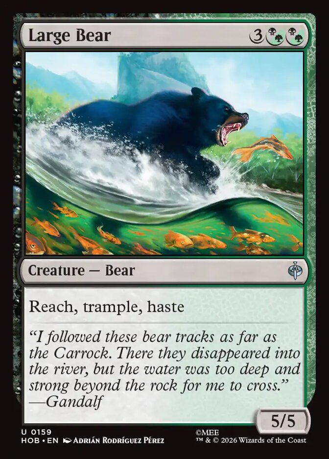 Large Bear card front