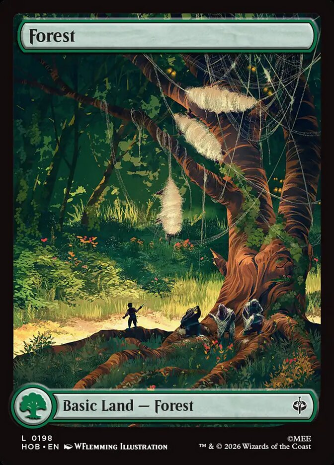 Forest card front