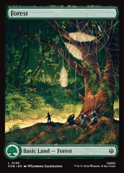 Forest