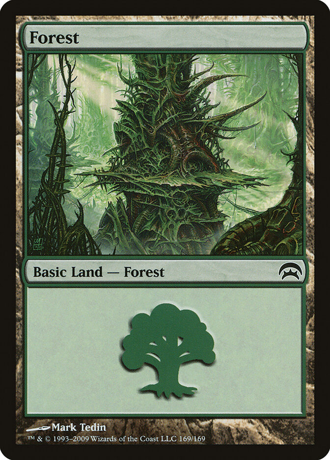 Forest card front