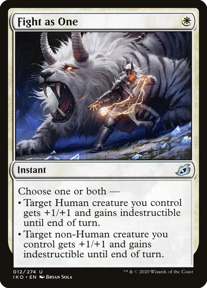Fight as One card front