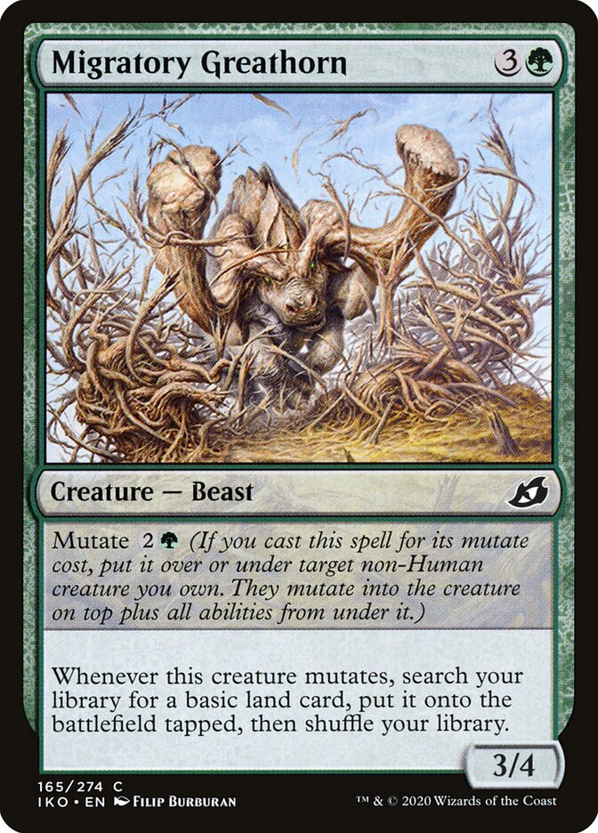 Migratory Greathorn card front