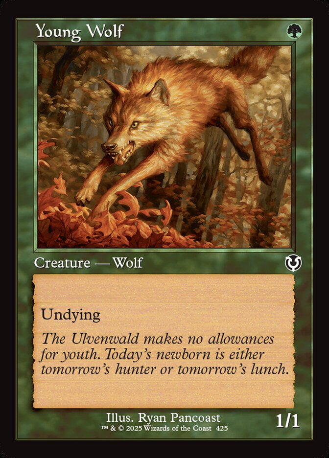 Young Wolf card front