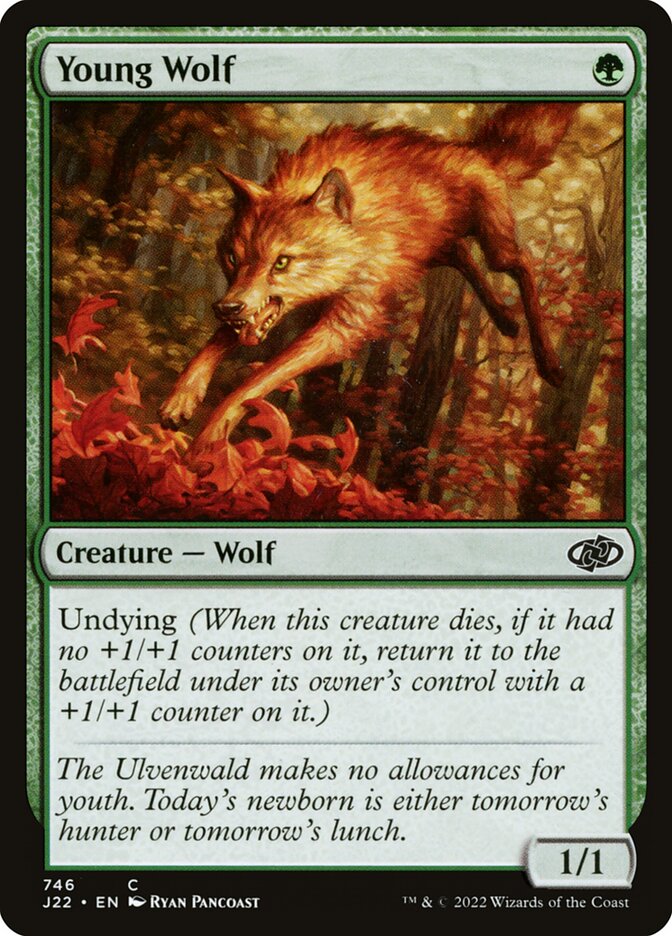 Young Wolf card front