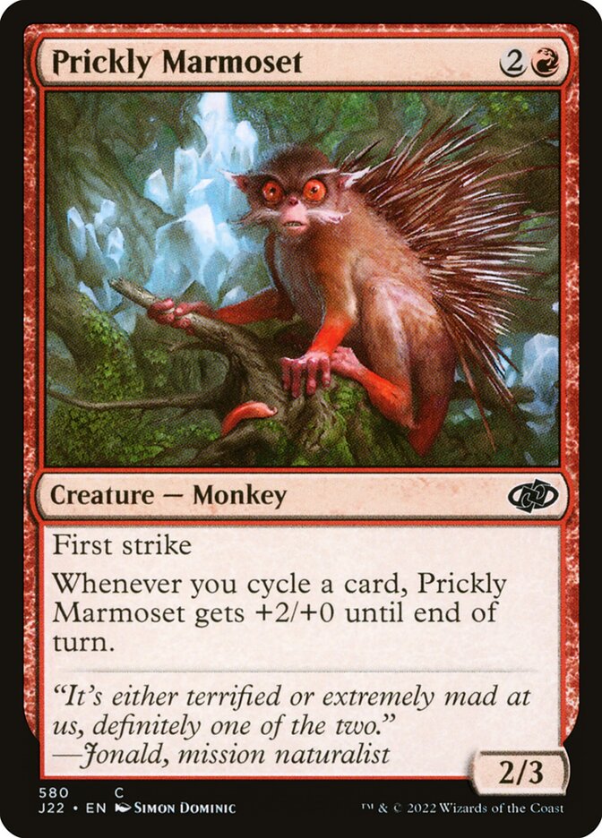 Prickly Marmoset card front