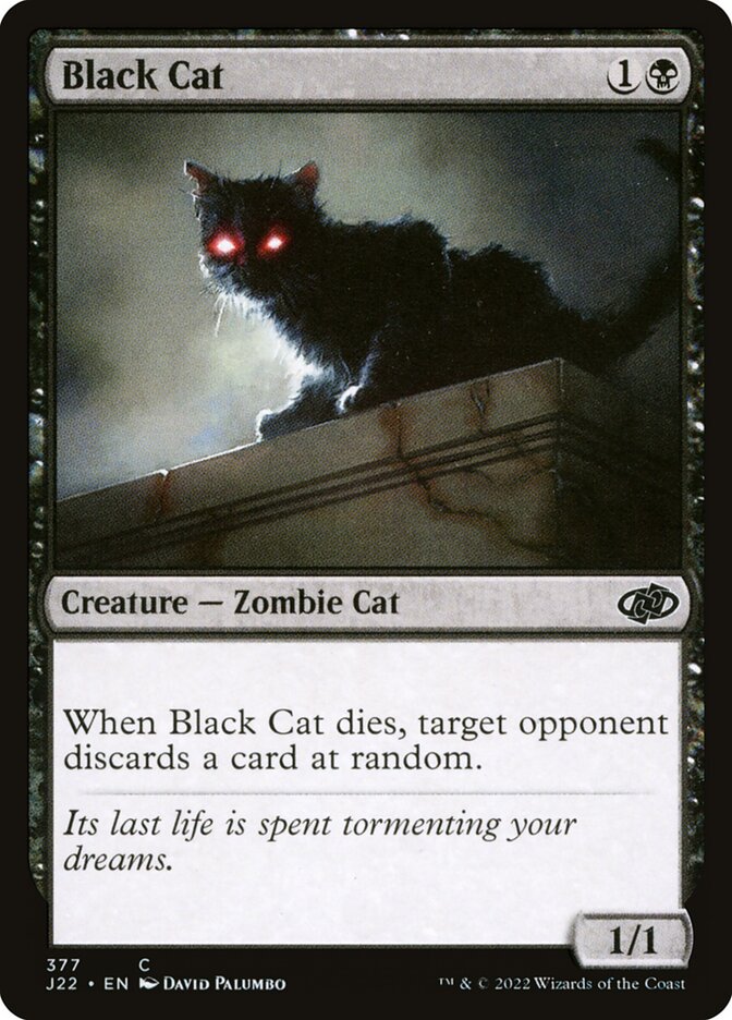 Black Cat card front