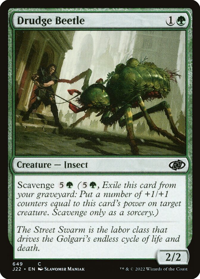 Drudge Beetle card front