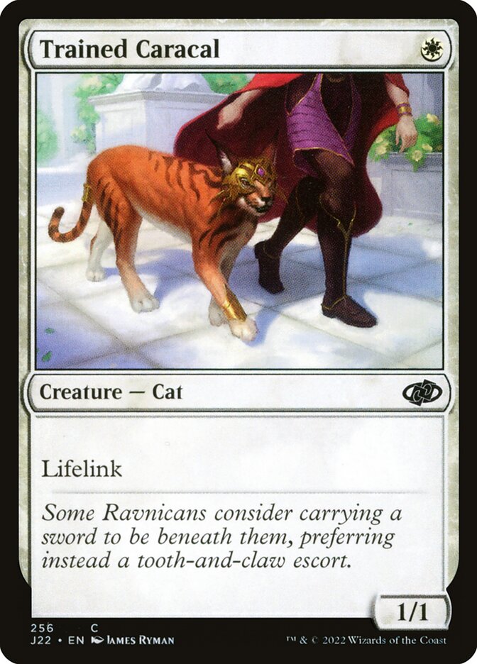 Trained Caracal card front
