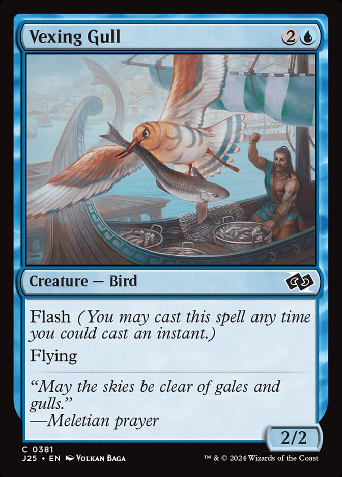 Vexing Gull card front