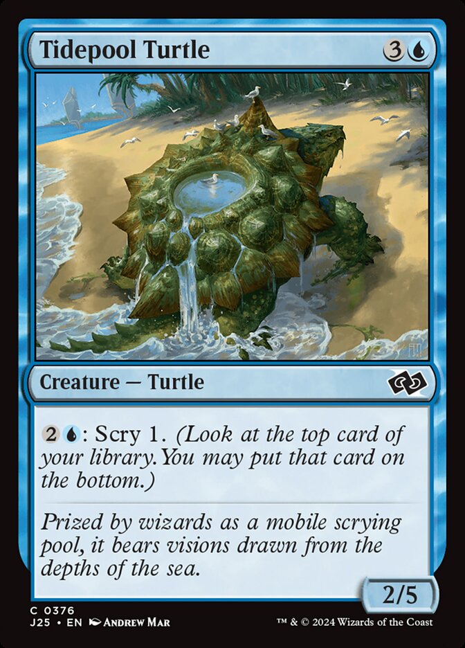 Tidepool Turtle card front