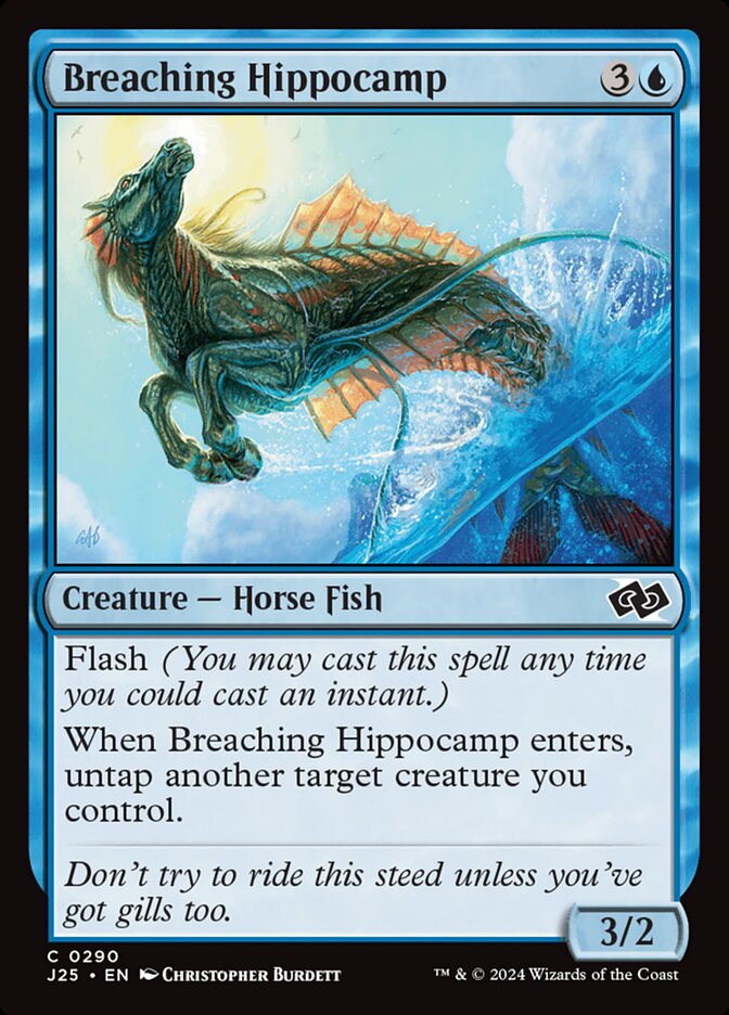 Breaching Hippocamp card front