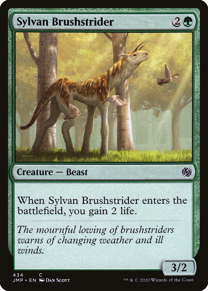 Sylvan Brushstrider card front