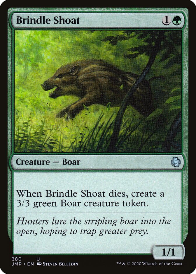 Brindle Shoat card front