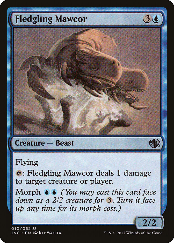 Fledgling Mawcor card front