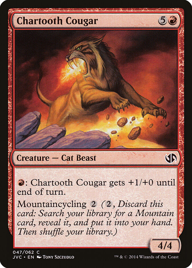 Chartooth Cougar card front